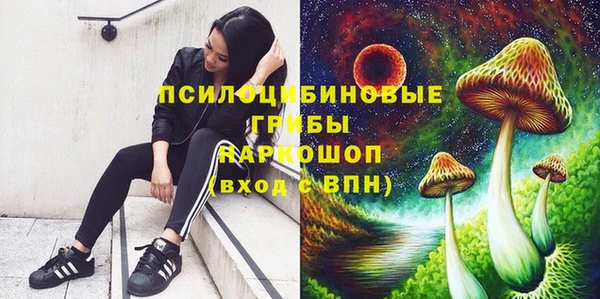 прущие грибы Липки