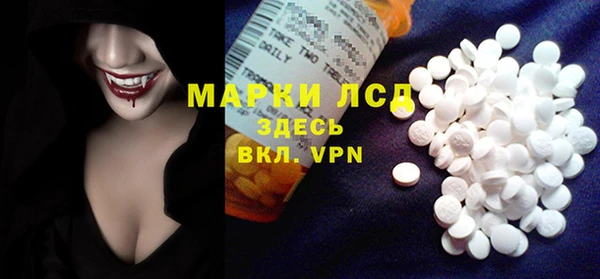 прущие грибы Липки