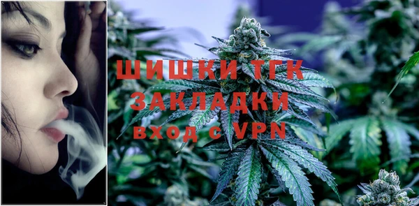 прущие грибы Липки