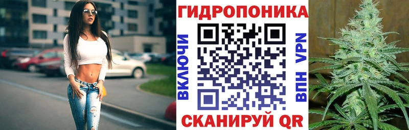 Шишки марихуана White Widow  Купить где  Змеиногорск 